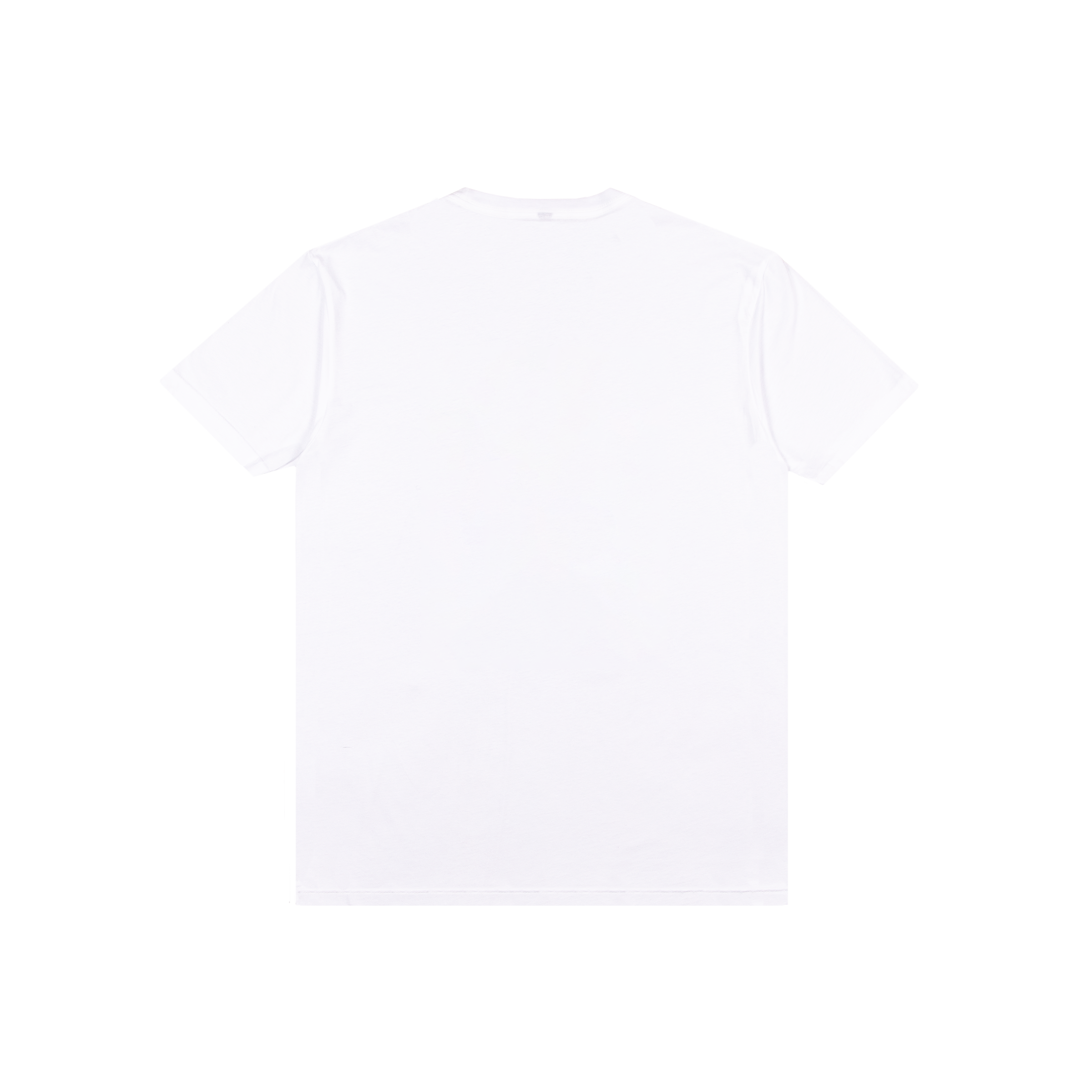Turtle Island Tshirt